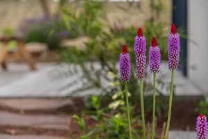Comment créer de la biodiversité au jardin ?, réalisation Paysages Conseil