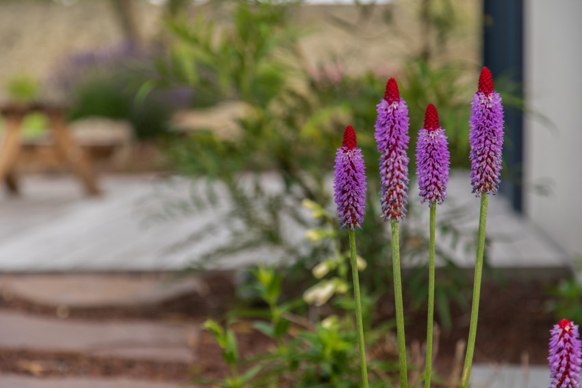 Comment favoriser la biodiversité avec la tonte différenciée ?