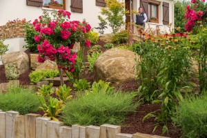 Je donne de la hauteur à mon jardin, Calvados, réalisation Paysages Conseil