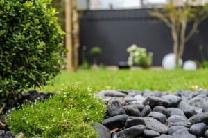 Un jardin de ville contemporain, Manche, réalisation Paysages Conseil