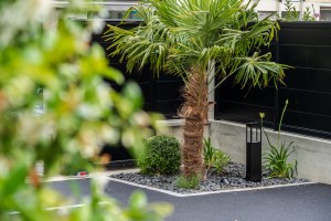 Un jardin de ville contemporain, Manche, réalisation Paysages Conseil