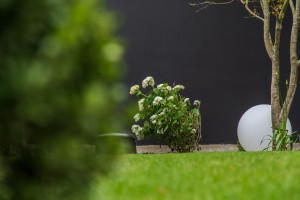 Un jardin de ville contemporain, Manche, réalisation Paysages Conseil