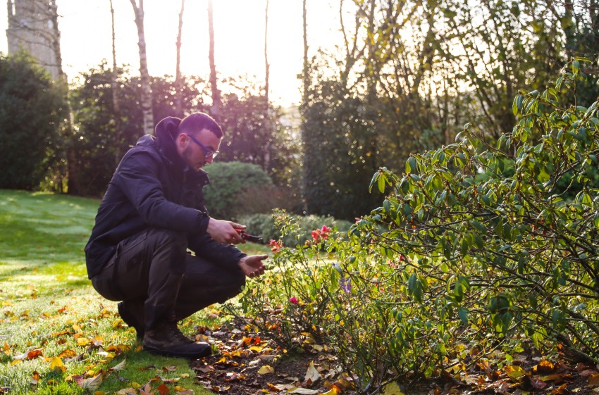 Comment entretenir son jardin en hiver ?