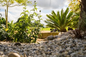 Une terrasse en bois ouverte sur le jardin, Calvados, réalisation Paysages Conseil