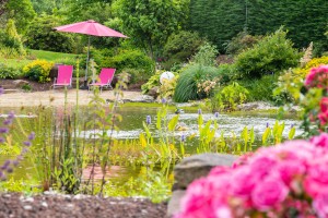 Un bassin pour le repos, Orne, réalisation Paysages Conseil
