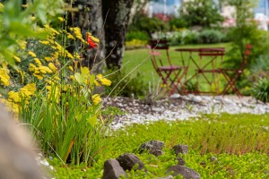 Un bassin pour le repos, Orne, réalisation Paysages Conseil