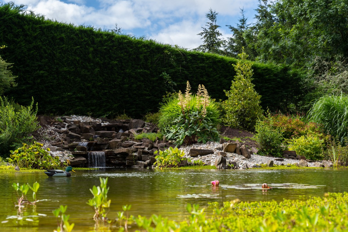 Piscine et bassin de baignade