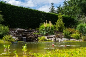 Un bassin pour le repos, Orne, réalisation Paysages Conseil