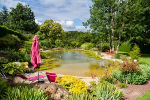 Un bassin pour le repos, Orne, réalisation Paysages Conseil