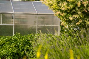 Une terrasse en pavé reconstitués, Calvados, réalisation Paysages Conseil