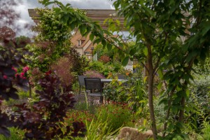 Une pergola en bois au coeur d&rsquo;un jardin, Saint-Pair-sur-Mer, Manche, réalisation Paysages Conseil