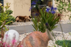 Intégration d&rsquo;un spa dans un jardin, Manche, réalisation Paysages Conseil