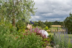 Intégration d&rsquo;un spa dans un jardin, Manche, réalisation Paysages Conseil