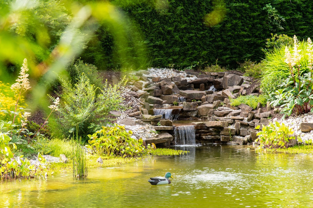 Comment nourrir les animaux du jardin en hiver ?