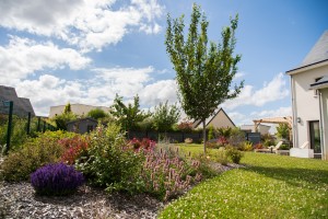 Création d&rsquo;un brise vue végétal, à Bayeux, réalisation Paysages Conseil