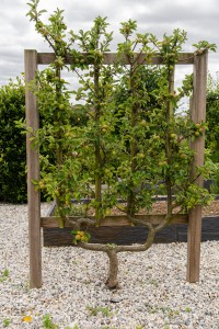 Aménagement d&rsquo;un jardin créatif et fonctionnel, Orne, réalisation Paysages Conseil