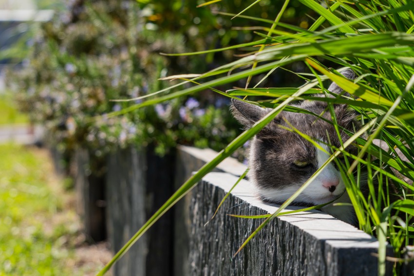 Comment nourrir les animaux du jardin en hiver ?