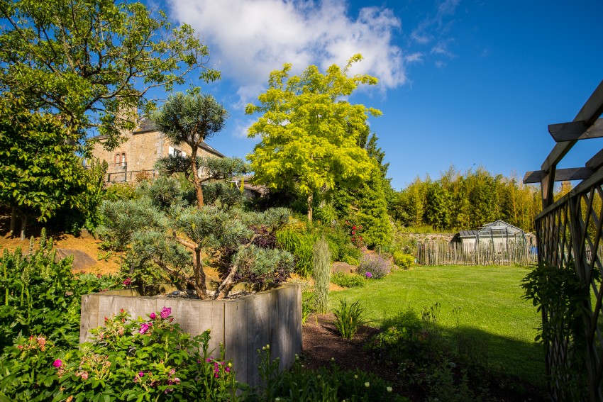 Que faire au jardin en avril ?