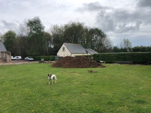 Création d&rsquo;un bassin d&rsquo;ornement, Manche, réalisation Paysages Conseil