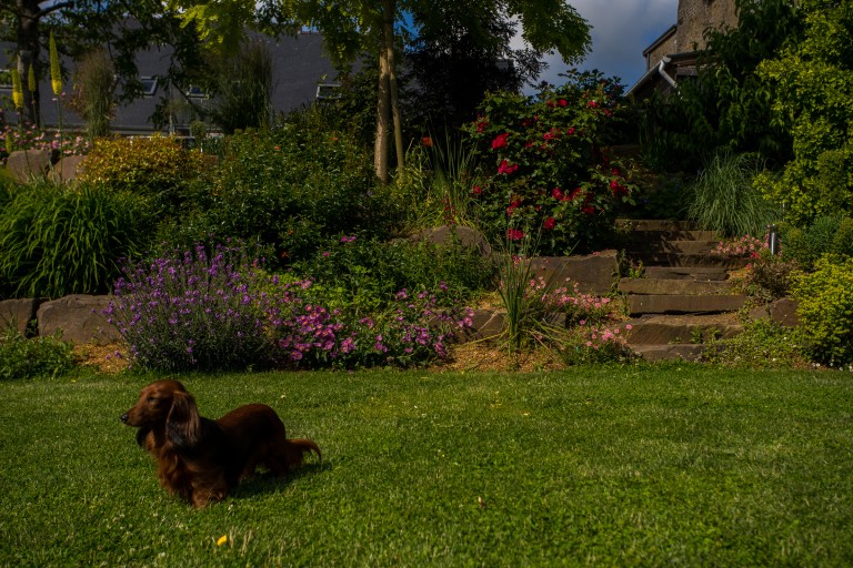 Mai au jardin