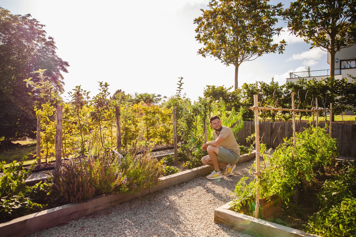 Entretien de potager