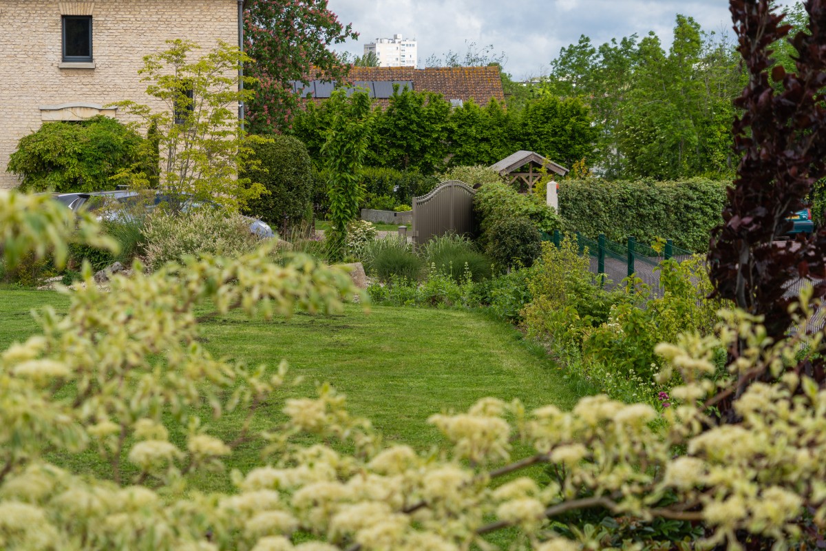 Plante pour le jardin