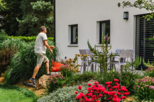 Jardin d&rsquo;une maison contemporaine dans l&rsquo;Orne, réalisation Paysages Conseil