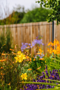 Jardin d&rsquo;une maison contemporaine dans l&rsquo;Orne, réalisation Paysages Conseil