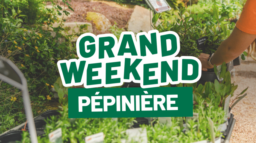 Grand Weekend Pépinière – 8 & 9 novembre 2025